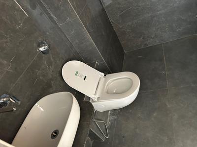 Bathroom Image of 2187 Sq.ft 3 BHK Apartment / Flat for sale in Vinayak Sapphire, Sargasan Gandhinagar for Rs. 11000000