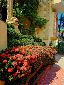 Image of 7700 Sq.ft 5 BHK Independent House for sale in Padur, Chennai for Rs. 105000000