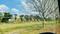 Bhoomatha Real Estates And Developers ANR Royale Main Image 1