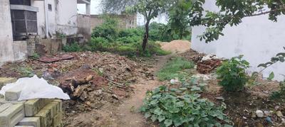 Sarkanda Plot View 2
