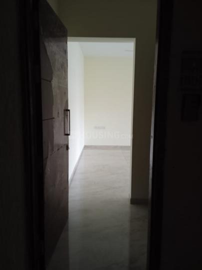 Silveroak Silver Oak Main Image 1