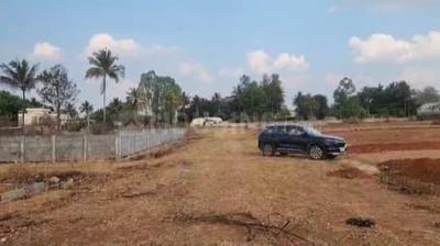 SunRise Garden Plot View 2