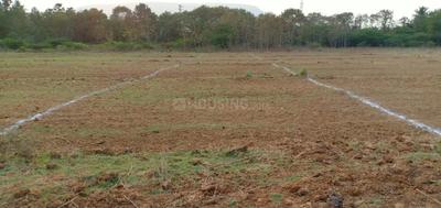 Padmanabha Nagar Plot View 2