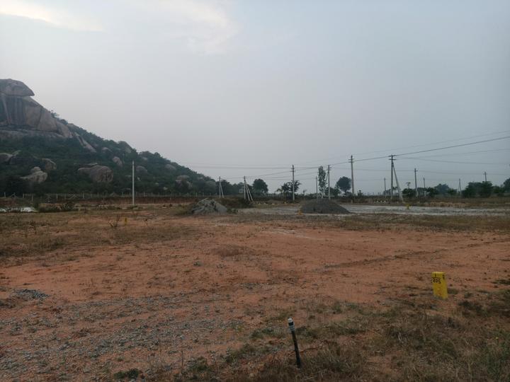 Fortune Grand 1LP Main Image 1