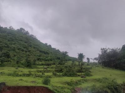 Image of 78000 Sq.ft Residential Plot / Land for sale in Varasgaon, Pune for Rs. 23400000