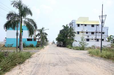 Plot View
