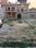Krishna nagar near yatayat park kanpur road Lucknow Plot View 2