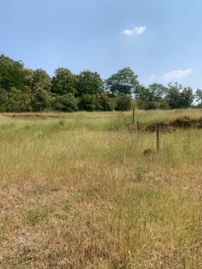 Image of 11000 Sq.ft Residential Plot / Land for sale in Kikvi, Pune for Rs. 1919000