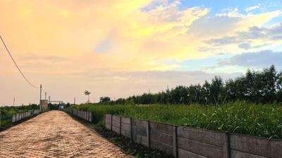 Image of 5000 Sq.ft 2 BHK Farm House for sale in Kokta, Bhopal for Rs. 3000000