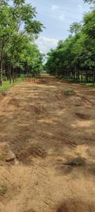Image of 2268 Sq.ft Residential Plot / Land for sale in Kamkole, Sangareddy for Rs. 2000000