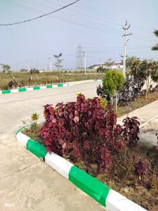 Image of 183 Sq.ft Residential Plot / Land for sale in Gunadala, Vijayawada for Rs. 6039000