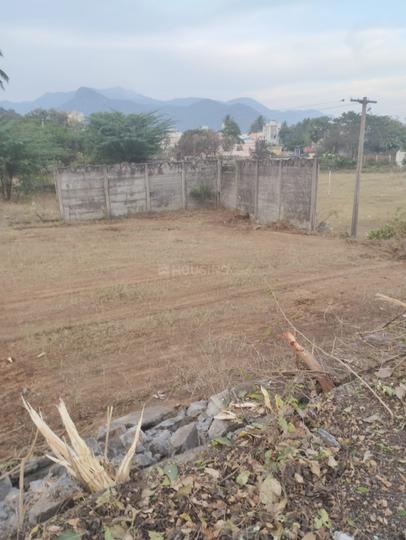 NGGO colony Main Image 1