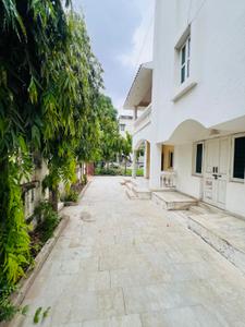 Image of Peace and Plenty Services in Navrangpura, Ahmedabad