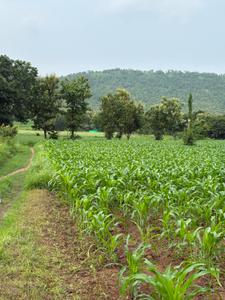 Image of 4000 Sq.ft Residential Plot / Land for sale in Simrol, Indore for Rs. 1200000