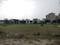 Sector 75 Plot View 2