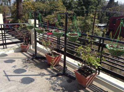 Balcony Image of 1400 Sq.ft 2 BHK Apartment / Flat for rent in Dalanwala Dehradun for Rs. 32000
