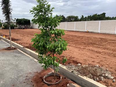 Image of 1250 Sq.ft Residential Plot / Land for sale in Kurumbapalayam, Coimbatore for Rs. 5724000