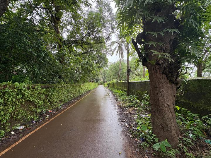 werrryu Main Image 1