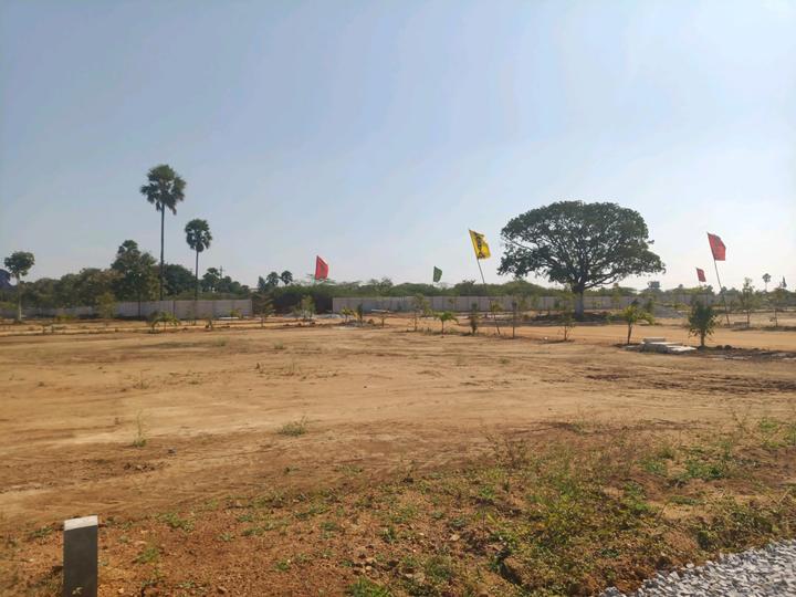 SGD Elite Main Image 1