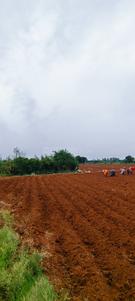 Image of 43560 Sq.ft Residential Plot / Land for sale in Mangalpally, Ranga Reddy for Rs. 9000000