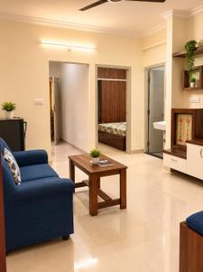 Hall Image of 450 Sq.ft 1 BHK Apartment / Flat for rent in Electronic City Bengaluru for Rs. 23000