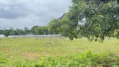 Image of 2178 Sq.ft Residential Plot / Land for sale in Shadnagar, Ranga Reddy for Rs. 1451958