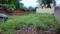 Sudama Vihar, Khurla Kingra Plot View 2