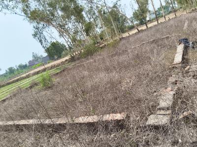 Image of 1102 Sq.ft Residential Plot / Land for sale in Shahbazpur Dor, Gajraula for Rs. 750000