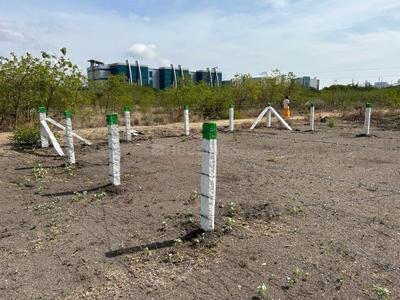 Image of 2160 Sq.ft Residential Plot / Land for sale in Saravanampatty, Coimbatore for Rs. 9180000