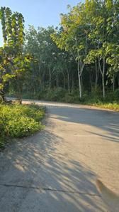 Image of 1089 Sq.ft Residential Plot / Land for sale in Uran, Navi Mumbai for Rs. 530000