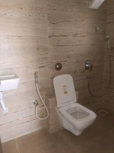 Common Bathroom Image of 650 Sq.ft 2 BHK Apartment / Flat for rent in DGS Sheetal Regalia, Borivali East Mumbai for Rs. 55000