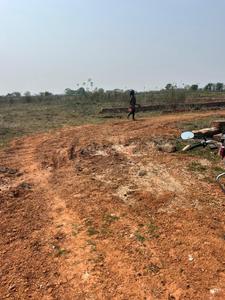 Patrapoda Plot View 2