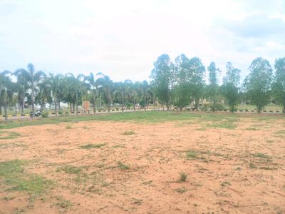 Maheshwaram Plot View 2