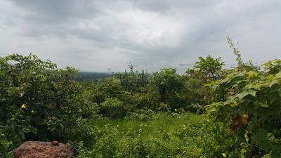 Residential Plot