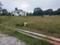 KUSHAL ENCLAVE NORTH BANGALORE Plot View 3