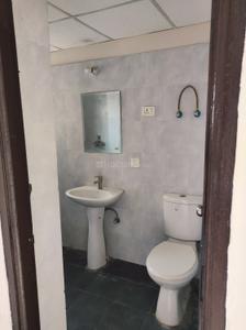 Bathroom Image of 1160 Sq.ft 3 BHK Apartment / Flat for rent in Paramount Emotions, Noida Extension Greater Noida for Rs. 20000