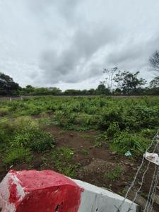 Pimpri PCMC Ews Kiwale Plot View 3