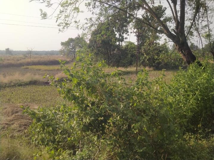 Towncity Plots in Chirle Main Image 1