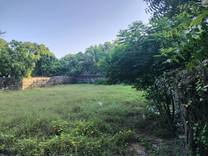 J Nagar Main Image 1