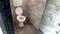 Sector 8, Ulwe Bathroom 1