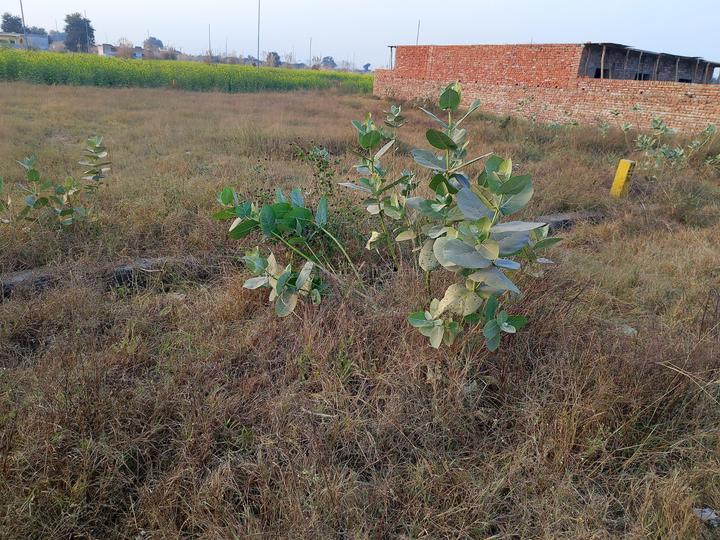 Yamuna Expressway Sector 16 Main Image 1