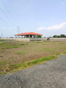 Lam Plot View 3