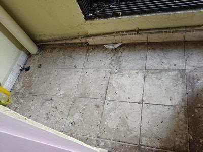 Balcony Image of 1200 Sq.ft 2 BHK Apartment / Flat for rent in Haware Silicon Towers, Sanpada Navi Mumbai for Rs. 50000