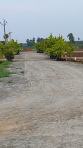 Image of 150 Sq.ft Residential Plot / Land for sale in Kakinada Port, Kakinada for Rs. 600000