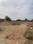 Dharti Angan Main Image 1