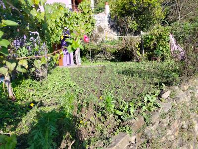 Image of 3000 Sq.ft 7 BHK Independent House for sale in Dugalkhola, Almora for Rs. 7500000
