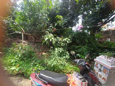 Balcony Image of 2000 Sq.ft 4 BHK Independent House for sale in Santiniketan Bolpur-Santiniketan for Rs. 4000000
