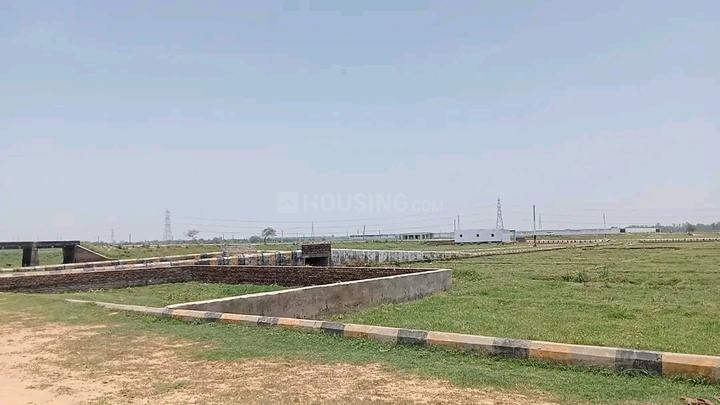 Orchid Green Main Image 1