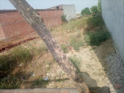 Narona Plot View 1