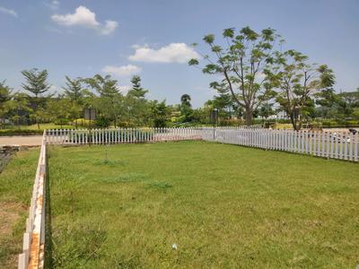 Residential Plot